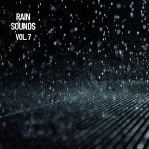 Rain Sounds Vol. 7, The Rain Library - The Rain Library