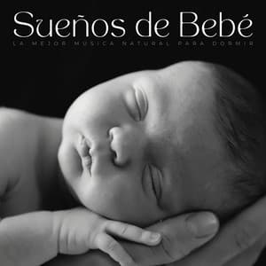 Sueños De Bebé: La Mejor Música Natural Para Dormir - Sonidos de la naturaleza en todo el mundo