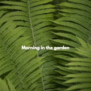Morning in the garden - Classic Relaxing Jazz