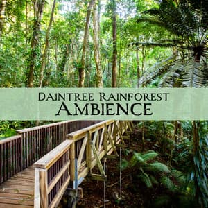Daintree Rainforest Ambience - Mothers Nature Music Academy