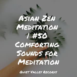 Asian Zen Meditation | #50 Comforting Sounds for Meditation - Sampling XL