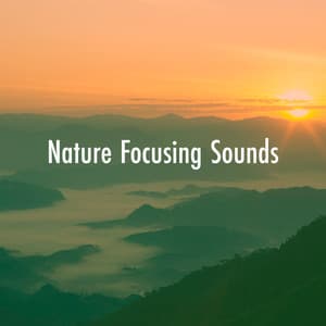 Nature Focusing Sounds - Relaxing Rain Sounds
