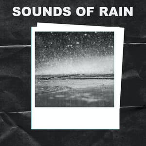 Sounds of Rain - Sounds of Rain