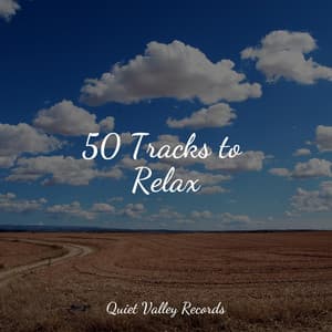 50 Tracks to Relax - Music to Relax in Free Time
