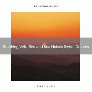 Soothing Wild Bird and Sea Noises Sweet Dreams - Organic Nature Sounds
