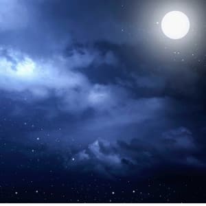 Sleep Tranquility: Calm Harmonies for Peaceful Nights - Zen Music Sessions