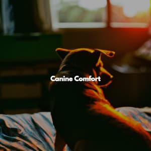 Canine Comfort - Jazz BGM