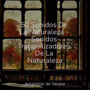 50 Sonidos De La Naturaleza - Sonidos Tranquilizadores De La Naturaleza - Musica para Meditar