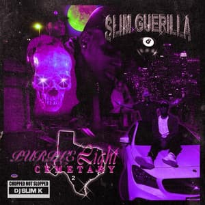 Purple Light Cemetary 2 - Slim Guerilla