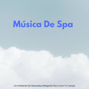 Música De Spa: Un Ambiente De Naturaleza Relajante Para Curar Tu Cuerpo - Naturaleza Sonidos