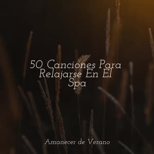 50 Canciones Para Relajarse En El Spa - Música para Correr