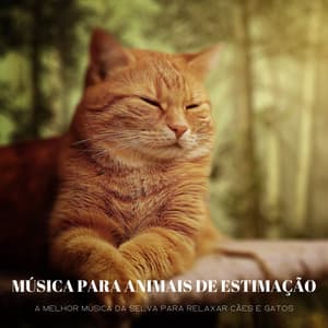 Música Para Animais De Estimação: A Melhor Música Da Selva Para Relaxar Cães E Gatos - Música Relax para Cafe