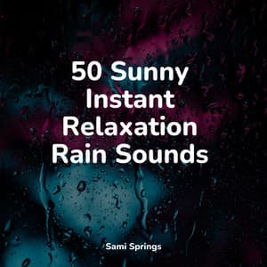 50 Sunny Instant Relaxation Rain Sounds - Rain Hard
