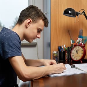 Study Vibes with Chill Lofi Soundscapes - Clean Music For Office Work