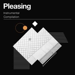zZz Pleasing Instrumental Compilation zZz - Feng Shui