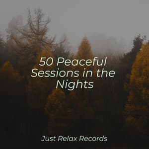 50 Peaceful Sessions in the Nights - Relaxing Mindfulness Meditation Relaxation Maestro