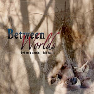 Between Worlds - Deborah Martin