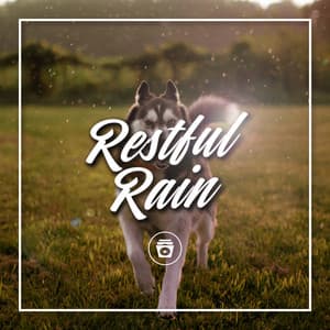 Restful Rain - Dog Sounds