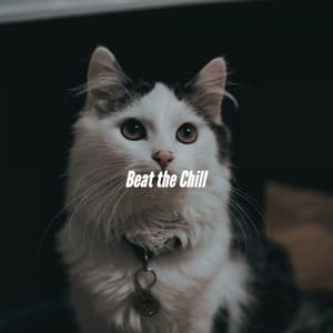 Beat the Chill - Office Music Experts