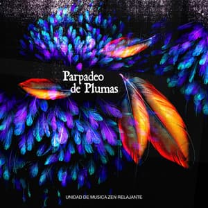 Parpadeo de Plumas - Unidad de música zen relajante