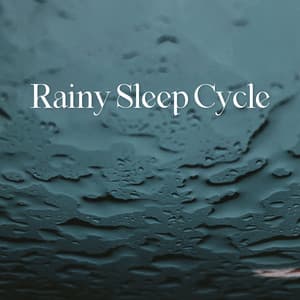 Rainy Sleep Cycle - Stages of Sleep Music Universe