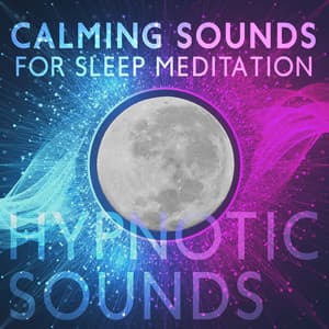 Calming Sounds for Sleep Meditation: Hypnotic Sounds, Bedtime, Sweet Nap, Relaxing Therapy, Moon Meditation - Relaxing Night Music Academy