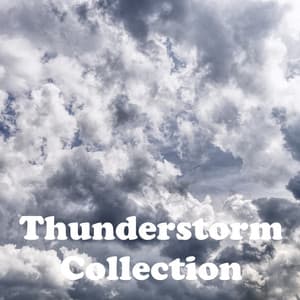 Thunderstorm Collection - Rain & Thunder