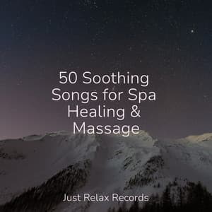 50 Soothing Songs for Spa Healing & Massage - Meditación Guiada