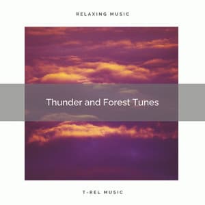 Thunder and Forest Tunes - Rain Sounds Collection