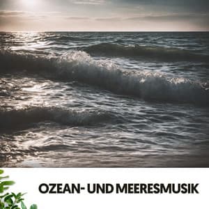Ozean- und Meeresmusik: Harmonische Produktivität - Dog Relaxation