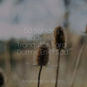 50 Sonidos Suaves Y Tranquilos Para Dormir En El Spa - Nature Sounds Nature Music