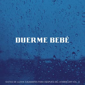 Duerme Bebé: Gotas De Lluvia Calmantes Para Después Del Atardecer Vol. 2 - Cascada de Lluvia