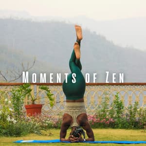 Moments of Zen: Transcendental Yoga with Chill Music - Heal Your Spirit