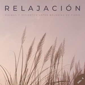 Relajación: Calmas Y Reconfortantes Melodías De Piano Vol. 2 - Música clásica de piano de la nueva era