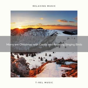 Merry are Christmas with Carols and Relaxing Singing Birds - White Noise Research