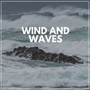 Wind and Waves - Ocean Atmospheres