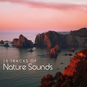 15 Tracks of Nature Sounds - Serenity Nature Sounds Academy