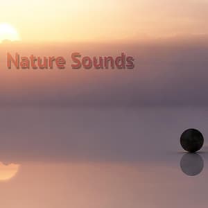 Nature Sounds - Meditación Musical
