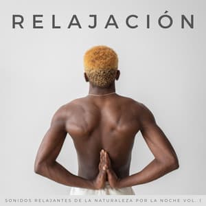 Relajación: Sonidos Relajantes De La Naturaleza Por La Noche Vol. 1 - La Naturaleza Del Sueño