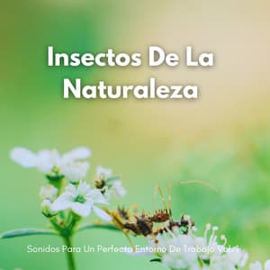 Insectos De La Naturaleza, Sonidos Para Un Perfecto Entorno De Trabajo Vol. 1 - Naturaleza FX