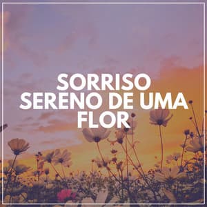 Sorriso Sereno de uma Flor - Ruído Ambiente