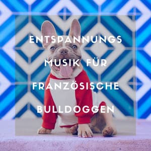 Entspannungsmusik für Französische Bulldoggen - Schlafen Akademie