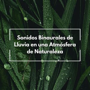 Sonidos Binaurales De Lluvia En Una Atmósfera De Naturaleza - La fábrica de ritmos binaurales