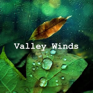 Valley Winds - Essential Nature Sounds