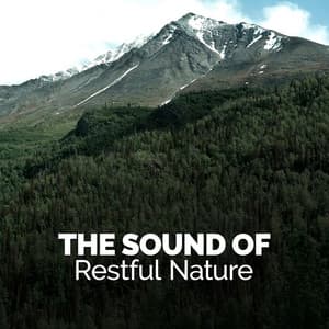 The Sound of Restful Nature - The Healing Sounds of Nature