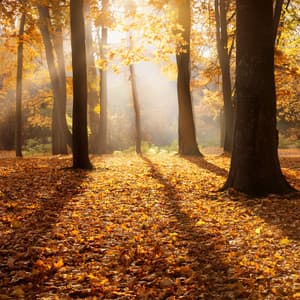 Music For The Unfolding Mystery - Relaxation Therapy Music Zone