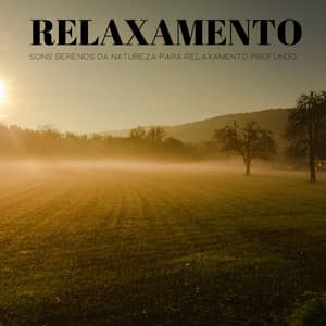 Relaxamento: Sons Serenos Da Natureza Para Relaxamento Profundo - Música Para Cães Adormecidos