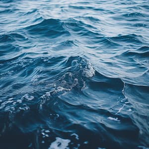 Fuga Reflexiva De Paisajes Acuáticos Relajantes: Música En La Orilla Del Lago - Sonidos esenciales de la naturaleza