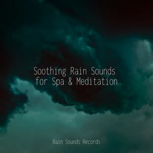 Soothing Rain Sounds for Spa & Meditation - Cascada de Lluvia