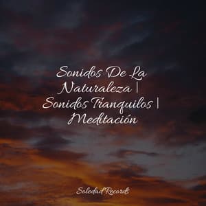 Sonidos De La Naturaleza | Sonidos Tranquilos | Meditación - Massagem